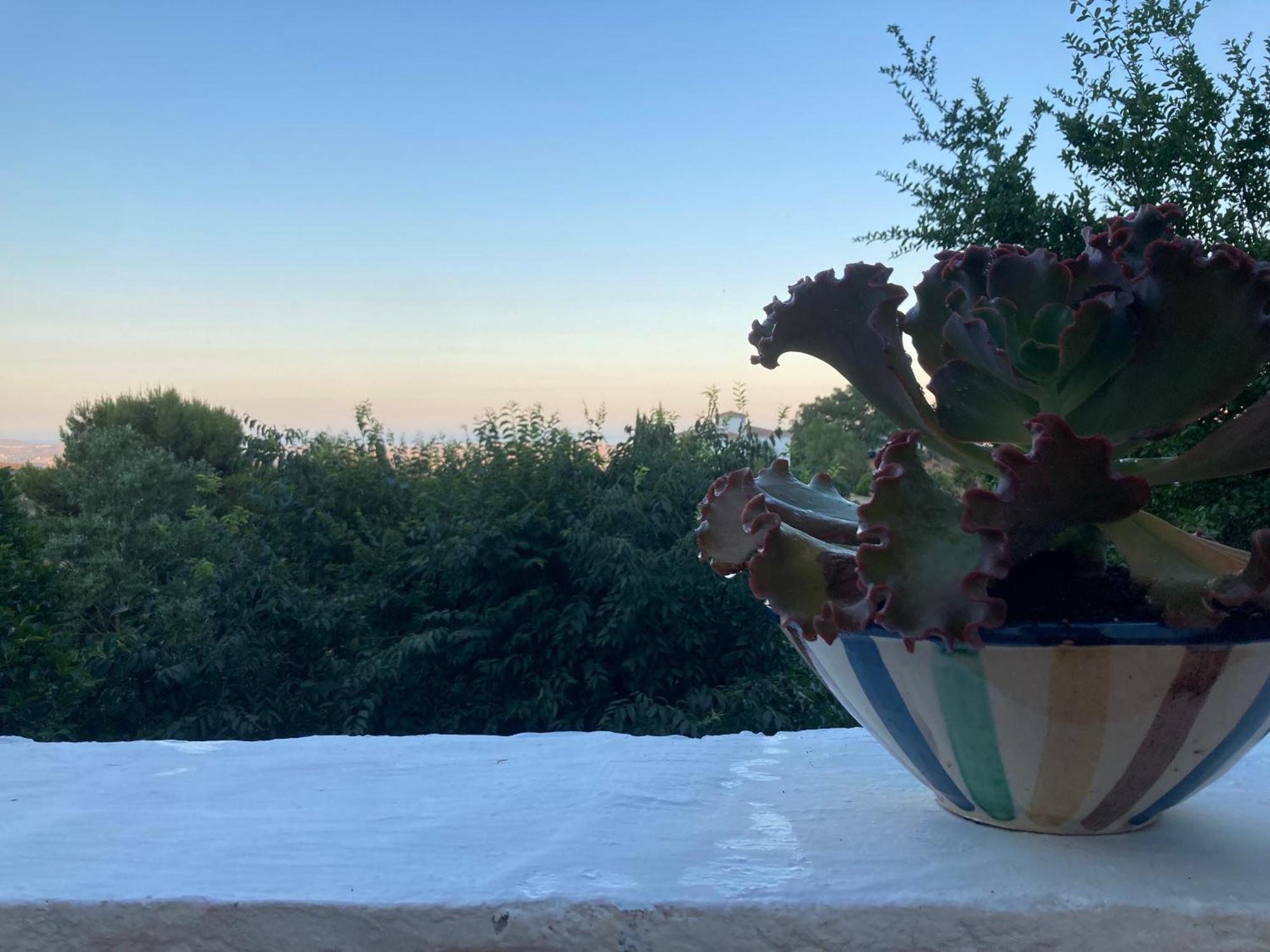 Вілла Cortijo De La Fuente Con Vistas Impresionantes Y Playas A 20 Minutos Bedar Екстер'єр фото