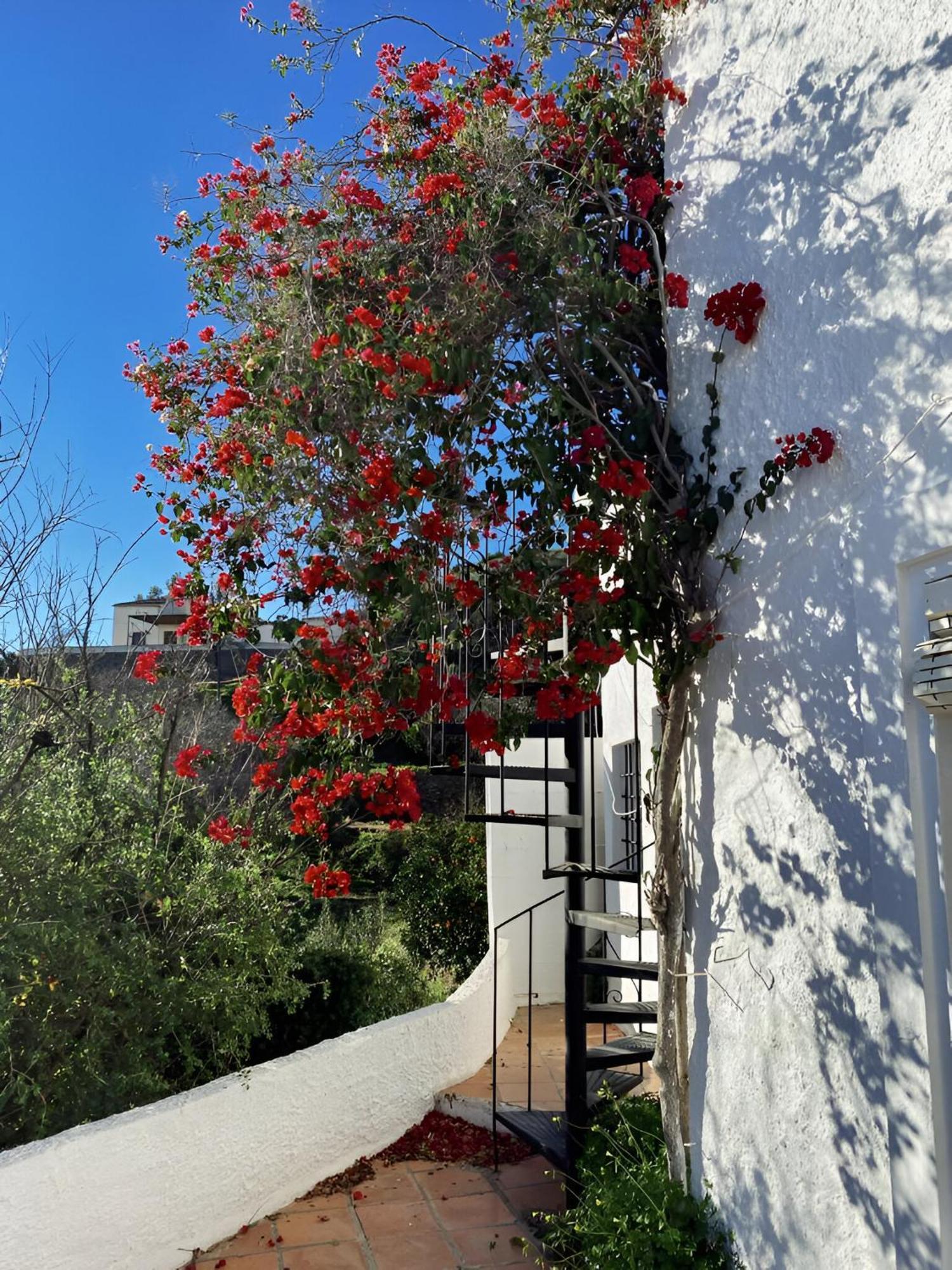 Вілла Cortijo De La Fuente Con Vistas Impresionantes Y Playas A 20 Minutos Bedar Екстер'єр фото
